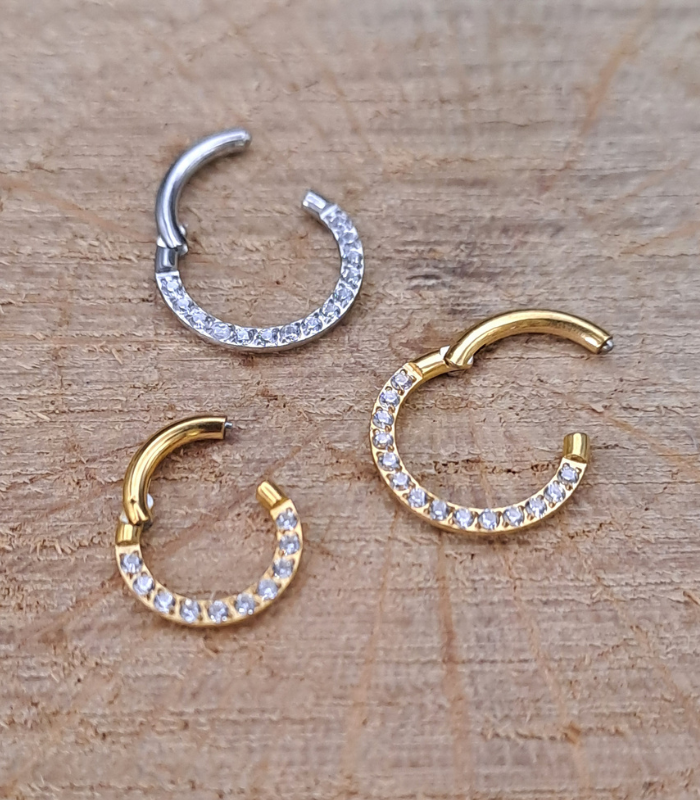 Aro segmento 1,2 mm brillo plano - Imagen 2